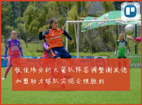 张佳玮分析火箭队阵容调整谢泼德加盟助力球队实现合理胜利